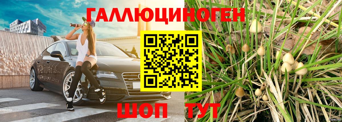 Псилоцибиновые грибы GOLDEN TEACHER Архангельск